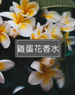 雞蛋花香水